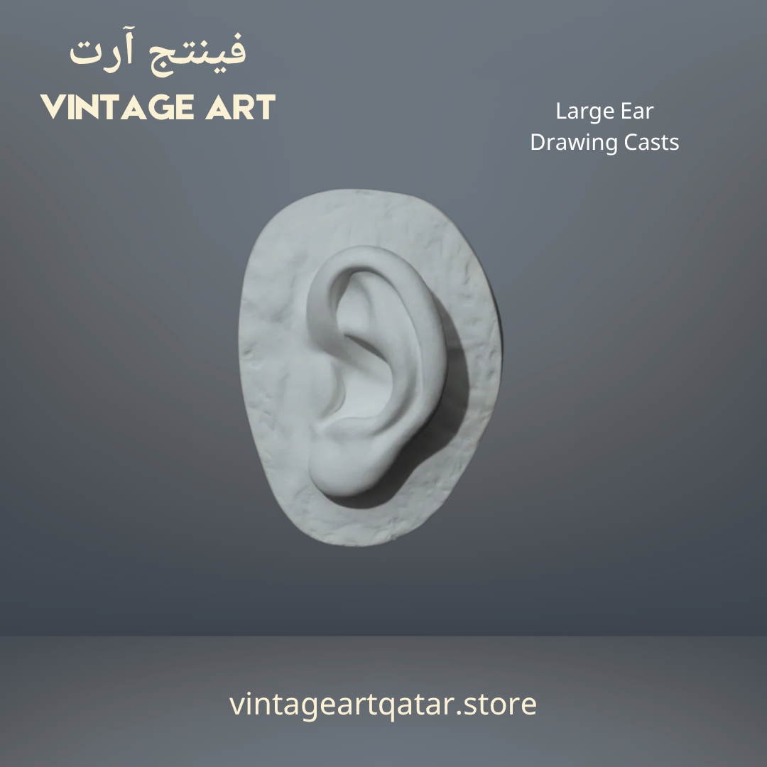 Large Ear
