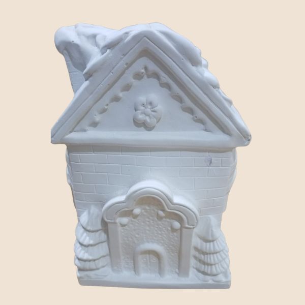 House in snow