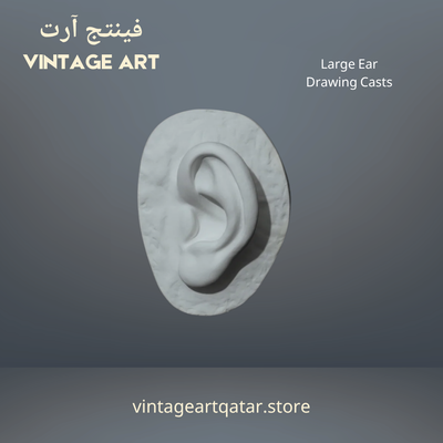Large Ear
